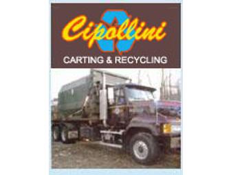Thirty Yard Rolloff Dumpster for Use in New Jersey