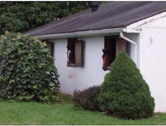 Private Horseback Riding Lesson at Palermo Stables in Bedminster, NJ (1 of 2)