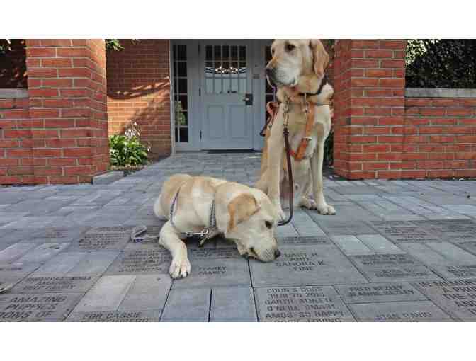 Seeing Eye Commemorative Brick Paver (4' x 8')