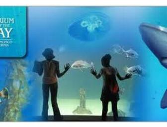 Aquarium of the Bay, San Francisco - Admission For Two