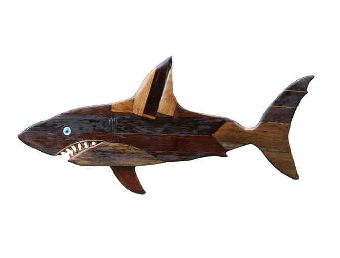 Atlantic White Shark Conservancy - Photo 2