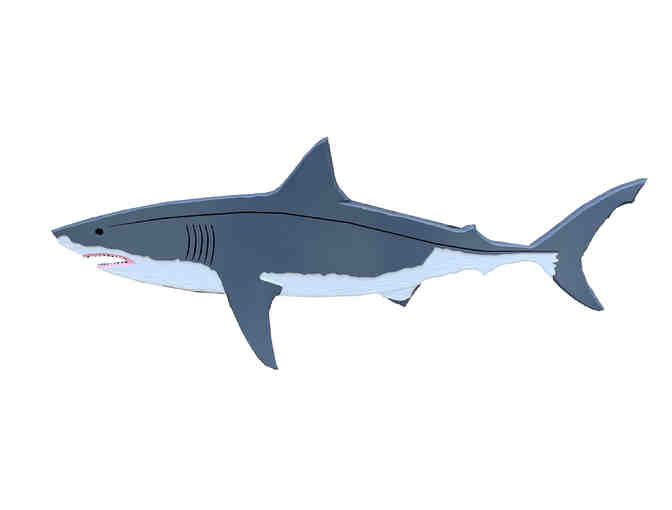 Chatham Wind & Time - Photo 2