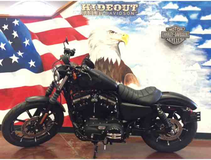 2016 Harley Davidson Sportster Iron 883