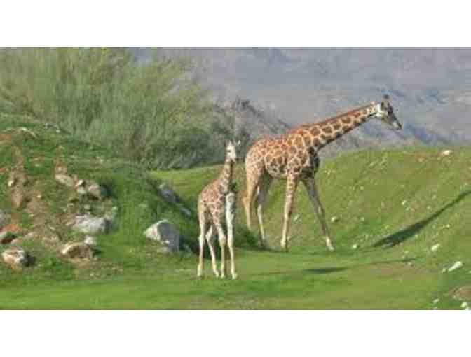 THE LIVING DESERT Z00/GARDENS AND PALM SPRINGS AIR MUSEUM