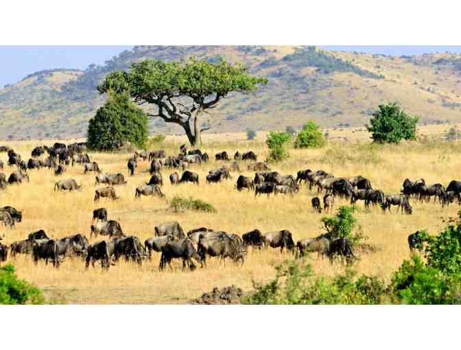 Wild Kenya 5-Night African Safari Experience for (2)