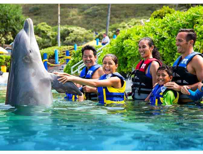 Sea Life Park - Dolphin Swim Adventure for Two Guests