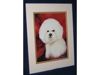 Bichon Art Print