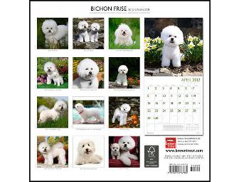 2012 Bichon Calendar