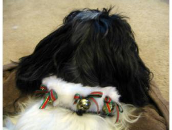 Christmas Furry Jingle Collar and Dog Toy