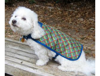 Stripe Dog Jacket