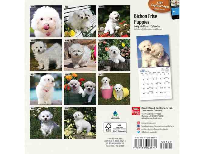 Bichon Frise Puppies 2015 MINI Size Wall Calendar