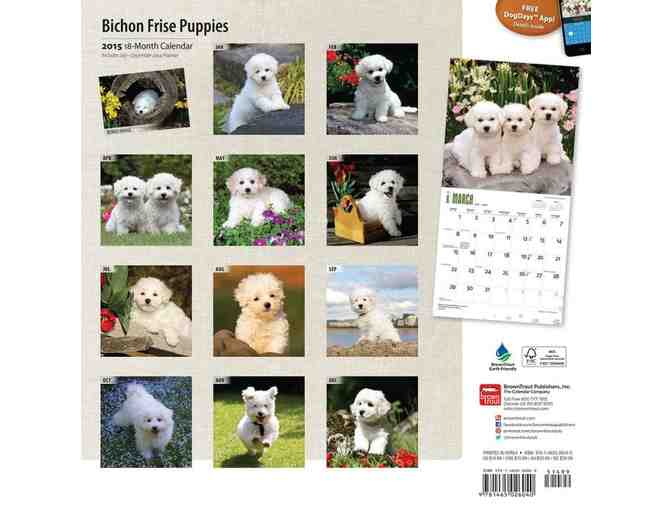 Bichon Frise Puppies 2015 Wall Calendar