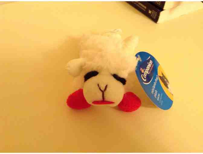 Mini Lamb Chop Squeaky Toy