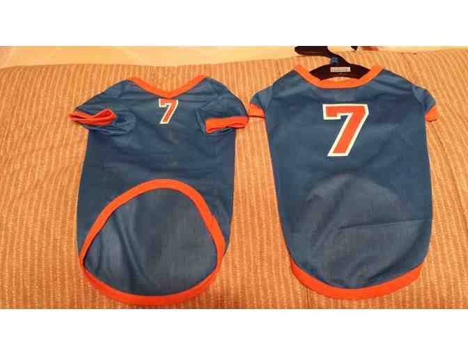 Blue 'n' Orange dog jersey