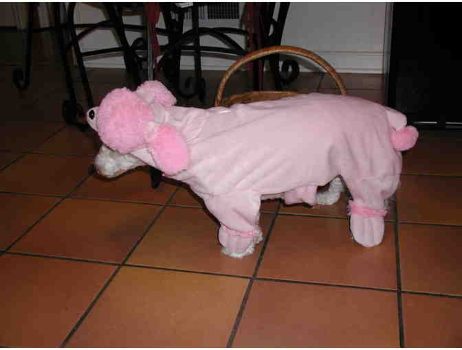 Pink Poodle Costume for Dogs