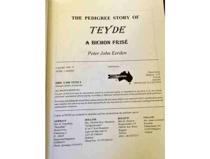 TEYDE, A BICHON FRISE by Peer J. Eerden