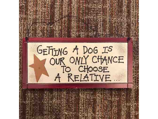 Getting A Dog Is Our Only Chance To Choose....