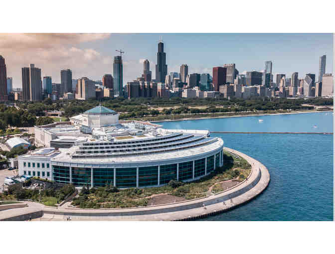 Windy City Wonders - Travel Package for 2