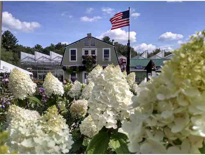 Lake Street Garden Center - $75 Gift Certificate