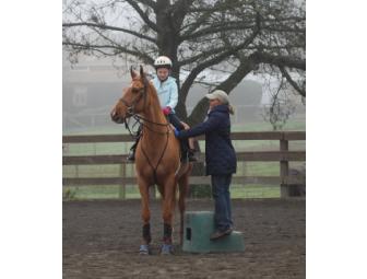 Horse Riding or Driving Lessons