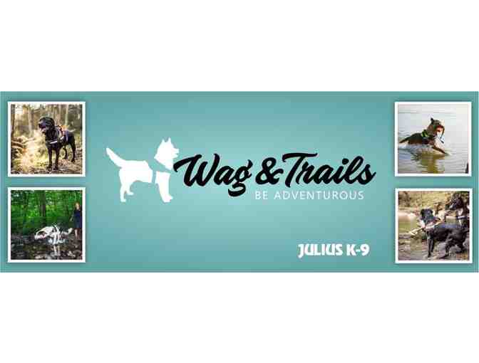 Wags & Trails Harness and Leash