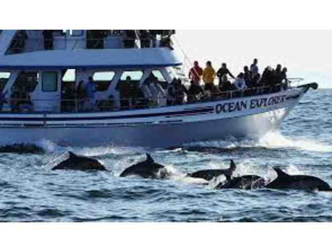 Newport Landing Sport fishing and Whale Watching