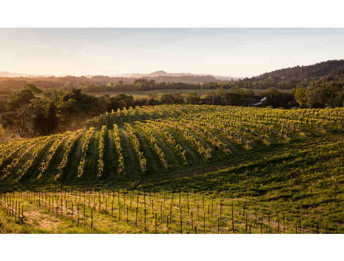 Quivira Vineyards: Estate-Grown Food & Wine Tasting for 4
