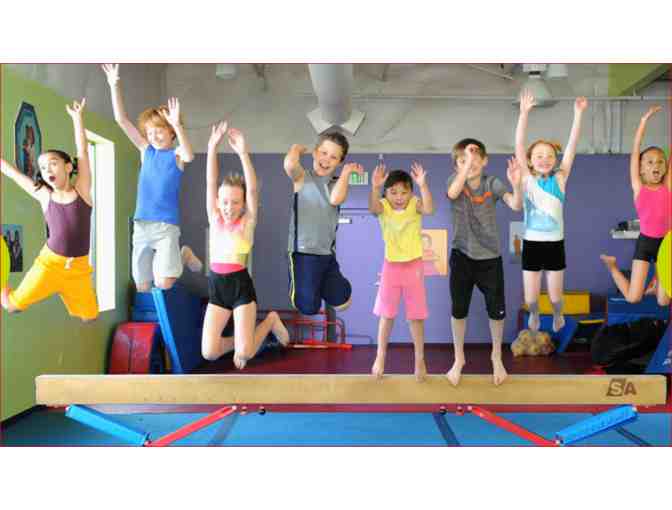 The Little Gym of Tribeca - 50% off Basic Birthday Package