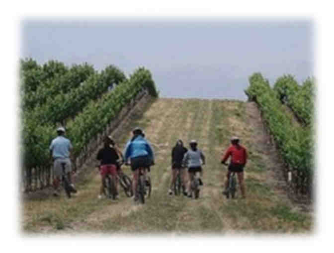 Napa & Sonoma Valley Bike Tours - A Classic Wine Country Bike Tour