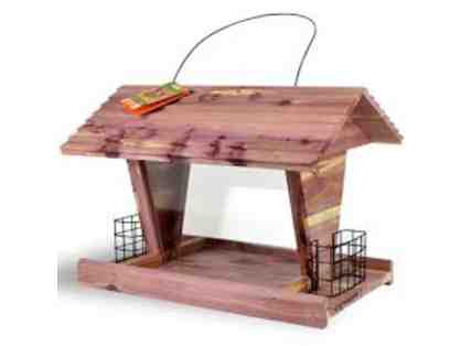 Cedar Bird Feeder and Seed from Tractor Supply Ray Brook