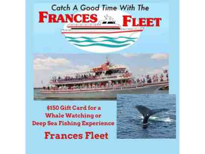 Whale Watch or Deep Sea Fishing with The Frances Fleet, Narragansett, RI