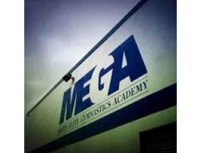 MEGA Gymnastics Gift Basket/Membership