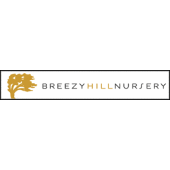 Breezy Hill Nursery