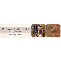 Midwest Wildlife Galleries