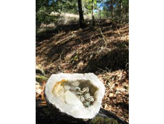 Geode with Decorative Sea Otter Art Piece Inside