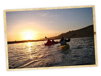 WaterTreks EcoTour 4-Hr Kayak Tour for 2