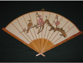 Beautiful Decorative Fan