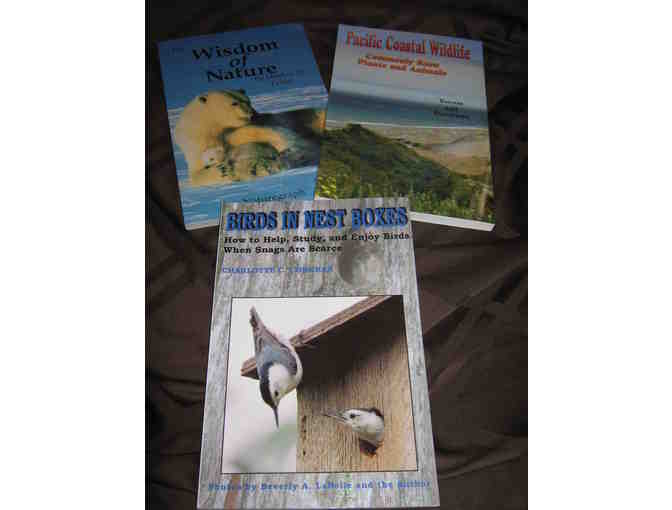 3 Fun Nature Books!