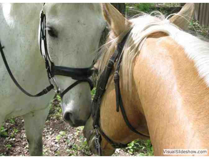 Guided Backcountry Equestrian Camping - Austin Creek SRA, We bring your horse feed!