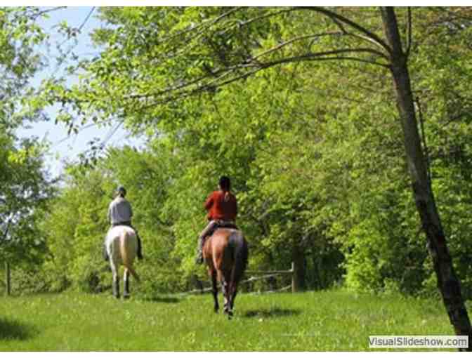 Guided Backcountry Equestrian Camping - Austin Creek SRA, We bring your horse feed!