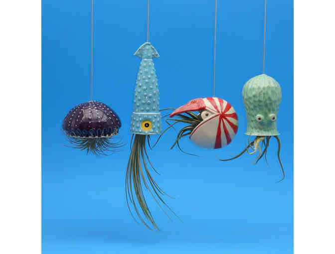 4 Large Air Planters Octopus Garden Collection