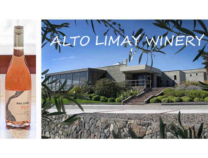 Alto Limay 2017 Pinot Noir Rose (one bottle)