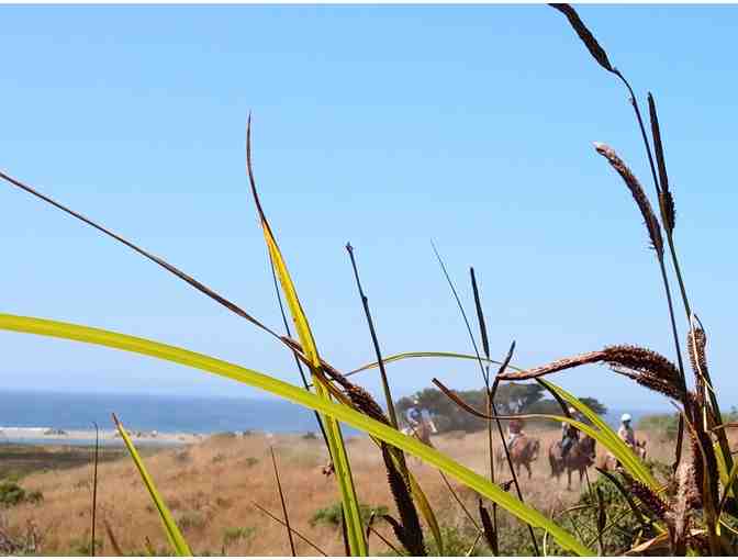 Horseback riding at Chanslor Ranch for two at Salmon Creek - Bodega Bay!