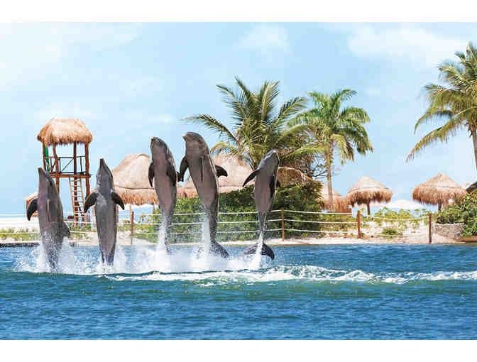 All-Inclusive Family Fiesta (Cancun) = 5 Days for two adults and two children at Hyatt