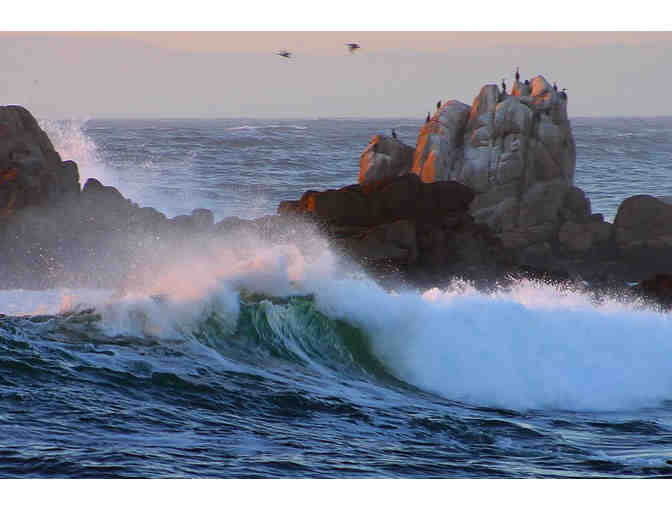 Spectacular Coastal Golf Experience (Monterey, CA)&gt;3 days Hyatt for 2+SPA+$300 gift card - Photo 7