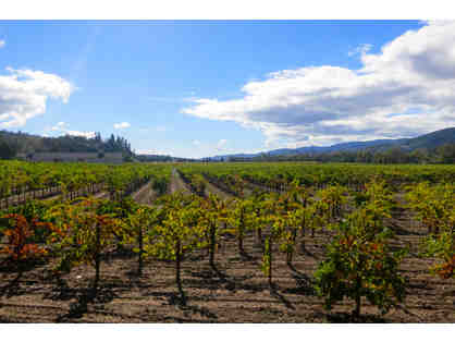 California Duet and Wine Tour, San Francisco and Sonoma >Three Nights +Tour