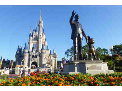 Enchanting Disney World and Florida's Space Coast, Orlando+Cocoa Beach>4 nights fam+$1000