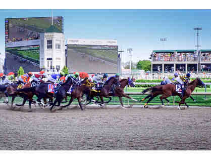 Enjoy the Crown Jewel of Horse Racing, Louisville# 4 Days Hotel + B'fast + Horse Farm Tour