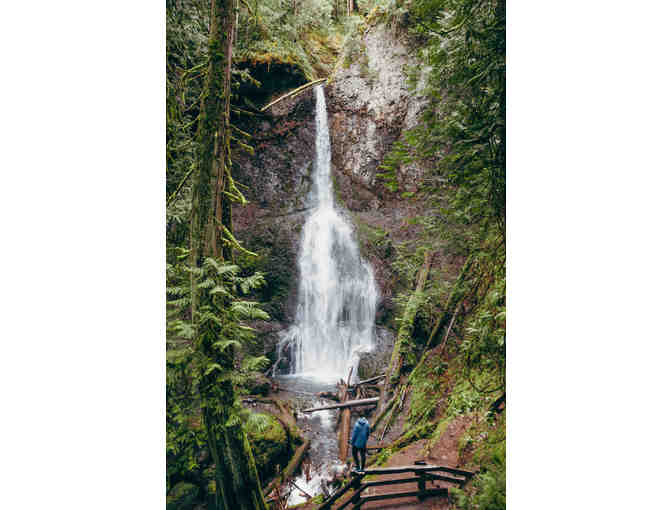 National Parks in Seattle's Backyard (Seattle) *4 Days at Fairmont+Tour