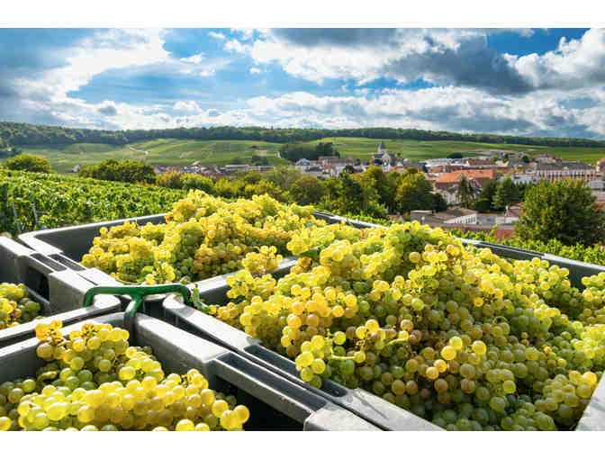 Tour Cellars and Pop Open the Bubbly! (Champagne, France) *6 Days + Tours+SPA